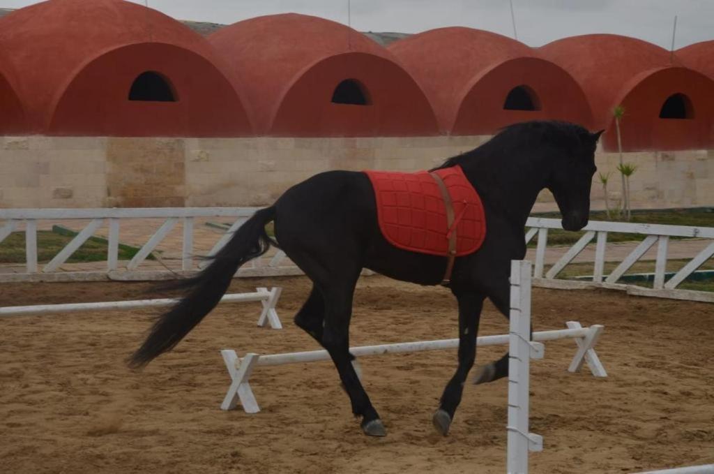 Grand Plaza Sheikh Zayed Ξενοδοχείο Kafr Abu 'umaydah Εξωτερικό φωτογραφία